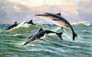 Ichthyosaur_hharder_opt