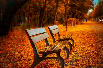 bench-560435_640